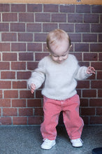 Load image into Gallery viewer, Dagliggenser junior - dansk