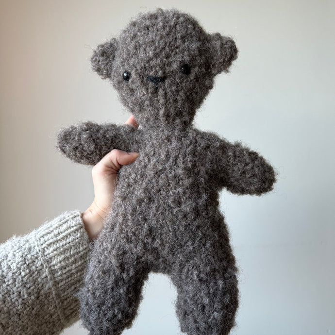 Lillebrors teddy